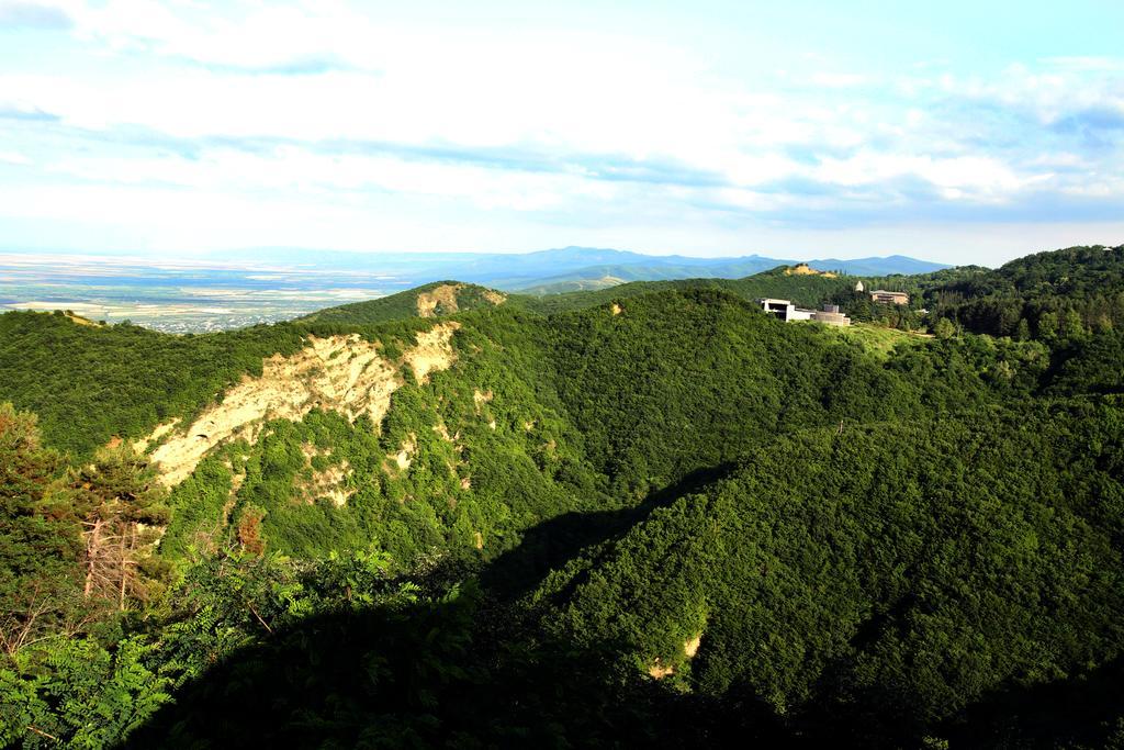 Guesthouse Fatima Sighnaghi Zewnętrze zdjęcie