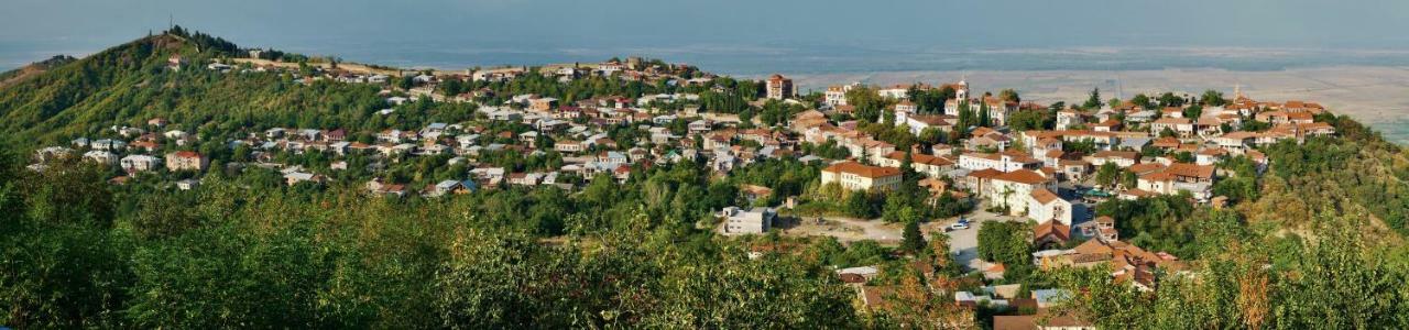 Guesthouse Fatima Sighnaghi Zewnętrze zdjęcie