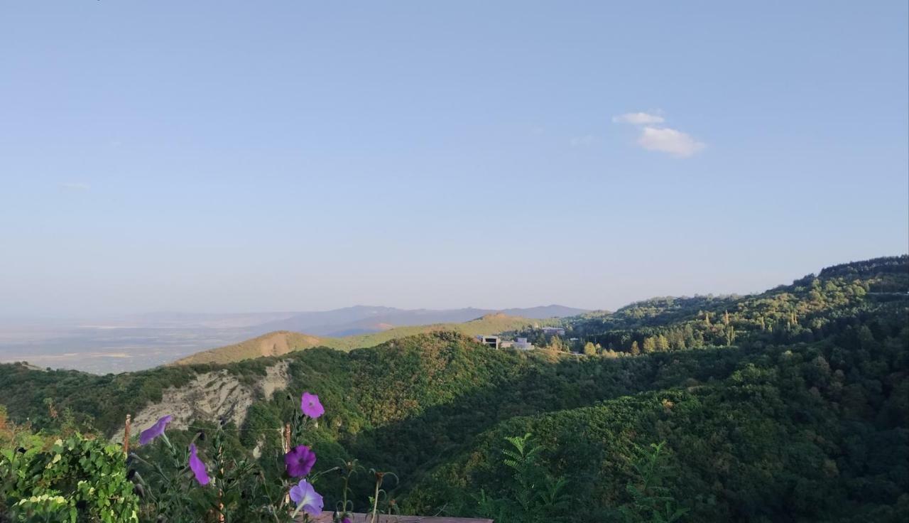 Guesthouse Fatima Sighnaghi Zewnętrze zdjęcie